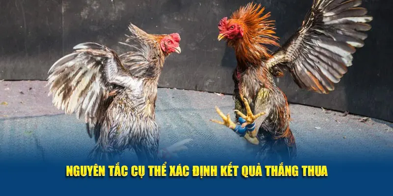 Nguyên tắc cụ thể xác định kết quả thắng thua