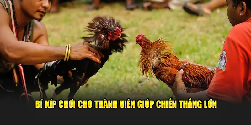 Bí kíp chơi cho thành viên giúp chiến thắng lớn