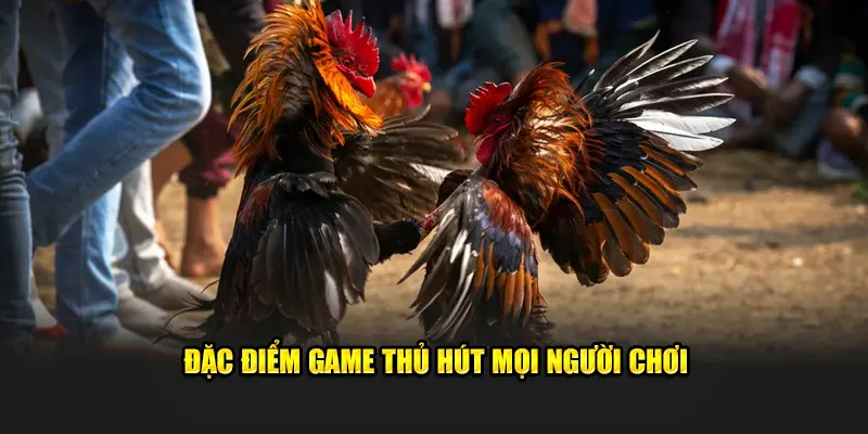 Đặc điểm game thu hút mọi người chơi
