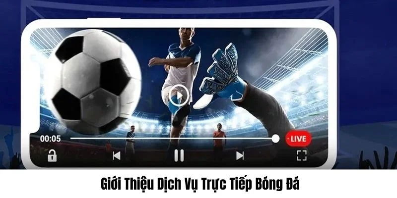 Đôi nét dịch vụ trực tiếp bóng đá SHBET