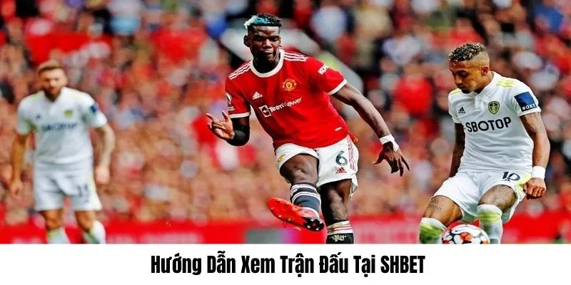 Hướng dẫn người xem cập nhật trận đấu tại trang
