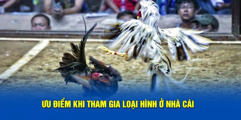 Ưu điểm khi tham gia loại hình ở nhà cái